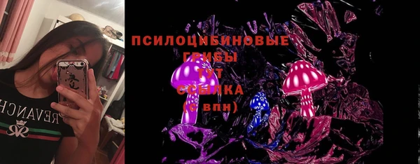 ПСИЛОЦИБИНОВЫЕ ГРИБЫ Михайловск