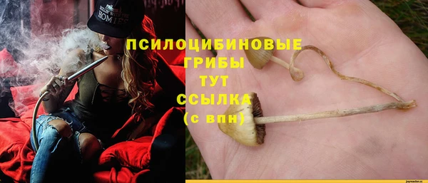 мдпв Мегион