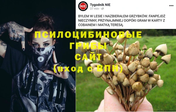 кокаин премиум Михайловка