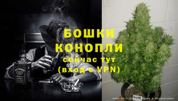 ПСИЛОЦИБИНОВЫЕ ГРИБЫ Михайловск