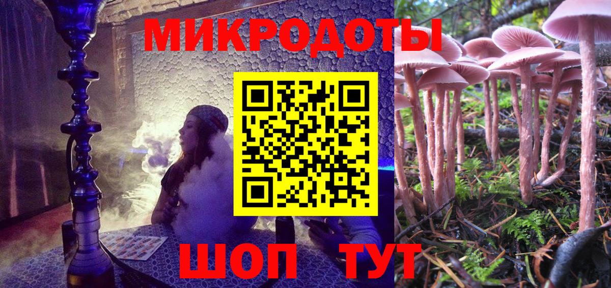 Усть-Кут  Псилоцибиновые грибы Cubensis  Псилоцибиновые грибы мицелий  Вход с VPN 