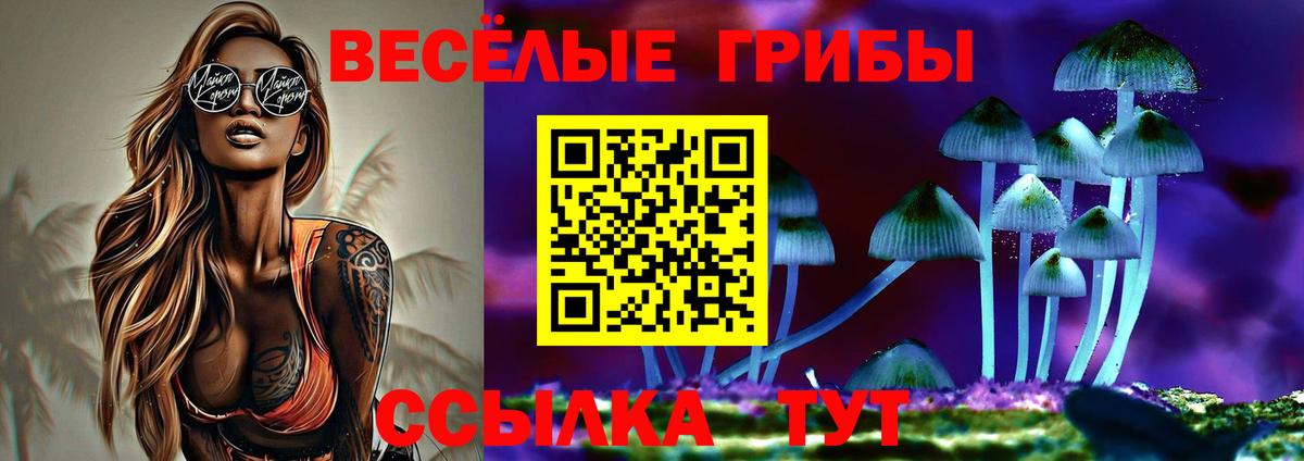 Псилоцибиновые грибы Psilocybine cubensis  Усть-Кут  Галлюциногенные грибы Cubensis 